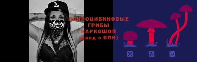 прущая мука Верея