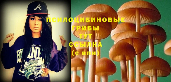 прущая мука Верея