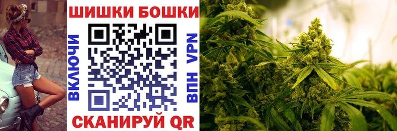 Канабис планчик  гидра как войти  Шадринск 